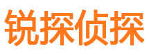 大武口市侦探公司